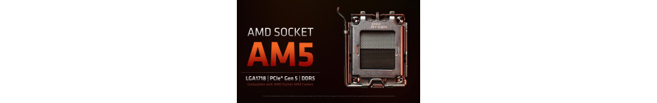 AM5