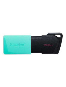 Kingston 256GB  DataTraveler Exodia M Memoria USB - USB 3.2 Gen 1