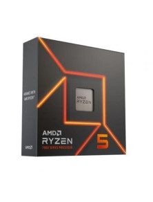 AMD RYZEN 5 9600X