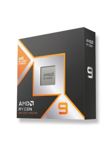AMD RYZEN 9 9900X3D